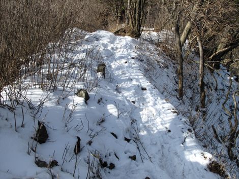 20160218hike (429)